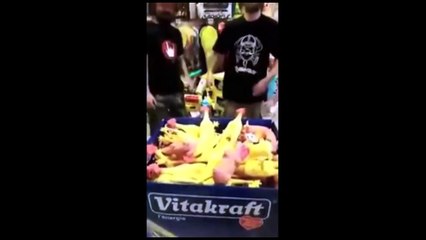 Many rubber chickens