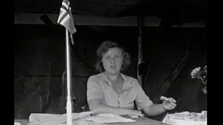 Nordisk flygarpokal 1934