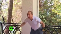Quand Vladimir Poutine et Dmitry Medvedev font de la muscu