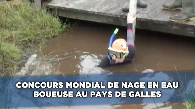 Concours mondial de nage en eau boueuse au Pays de Galles