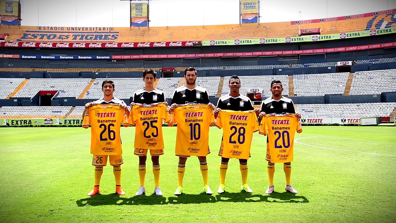 Presentación Refuerzos Tigres 2015