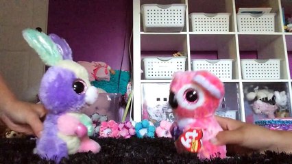 BAILEY AND TAYTAY BEANIE BOO