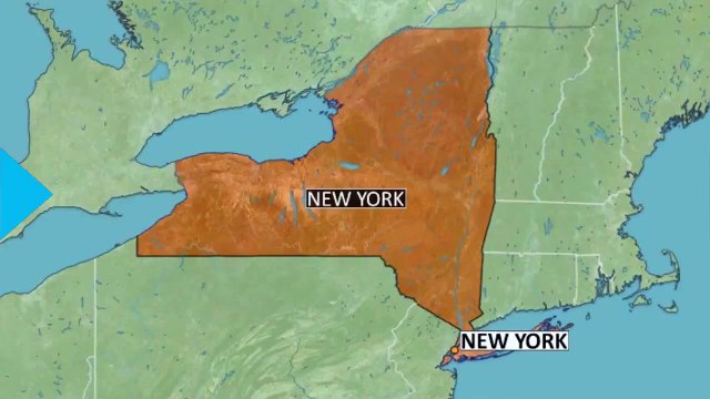 Oliver Sacks, Neurologist and 'Awakenings' Author, Dies at 82