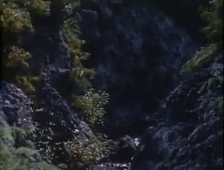 『日本沈没』  08+怒りの濁流_