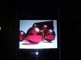 Screen Solutions Int. Holographic Rear Projection Rigid Screen