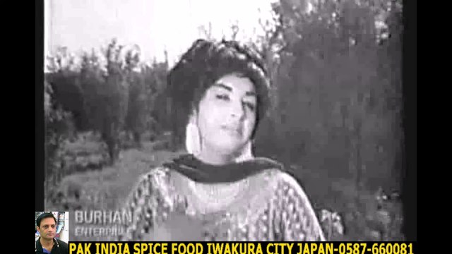NOOR JAHAN - MAHI VE MENU PYARA - ANWARA+HD スパイスハラルフード　岩倉市 ジャパンjapan halal food spice