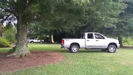 Il tente de déraciner un arbre avec son pick-up...