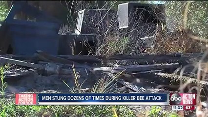 100,000 Killer Bees Attack! Two Men
