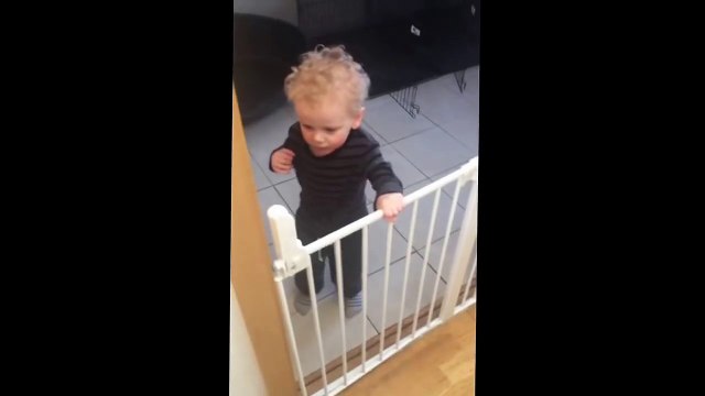 Un bébé s'occupe de chiens Corgi... Trop mignon!