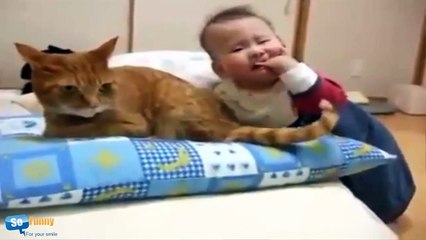 Funny cats and babies playing together Baby And Cat Videos Compilation
