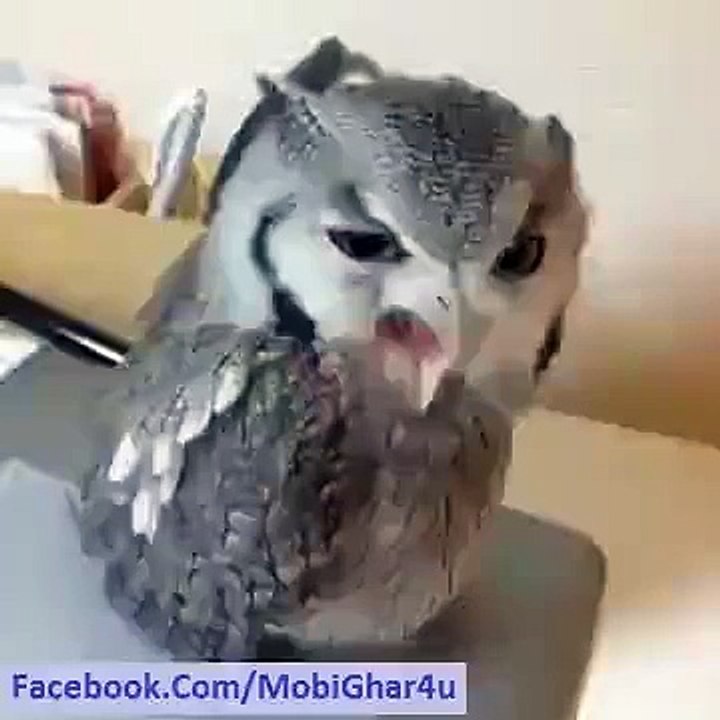Fake or Real Please Comments