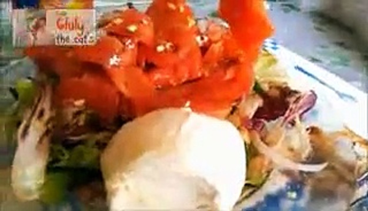 Gatti da vedere!! il gatto ladro che ruba il cibo - cat stealing food, funny cats!!