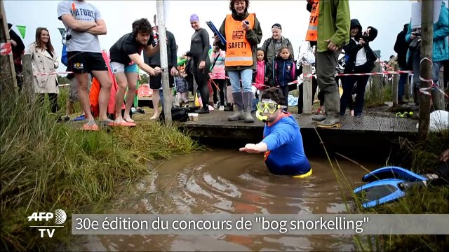 Course de nage dans la boue au Pays de Galles, le 30 août 2015.
