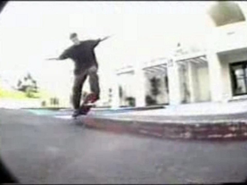 411 vm rodney mullen skate