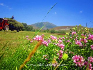 Yıldız Diriliş Slaytı
