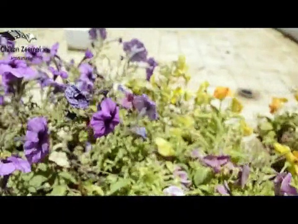 Maqbool Aseer song 10