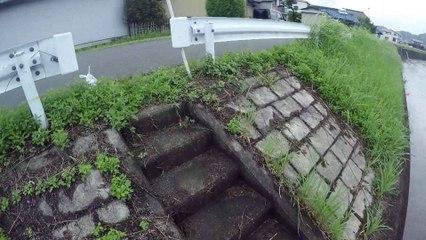 #2 Carp Fishing from Japan. In the raining. Don't catching. Huppening.