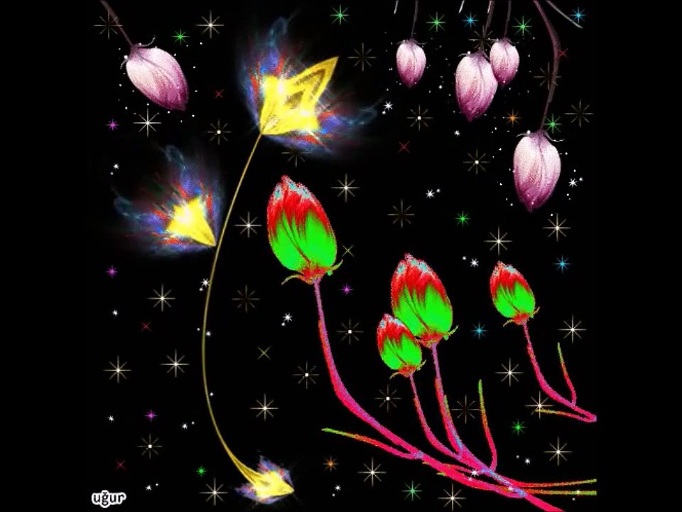 GÖKSEL-deli etme beni aşk