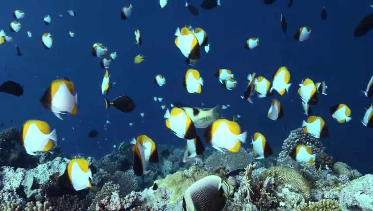 Les eaux Françaises
