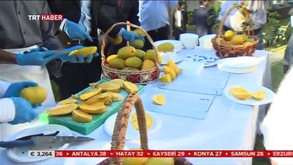 Pakistan Mango Festival in Ankara - Ankara'da Pakistan Mango Festivali