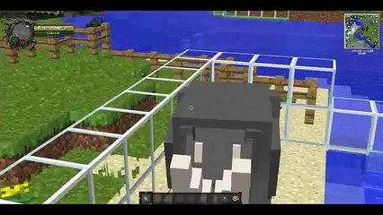 Minecraft Zoo Episode 4: T rex!