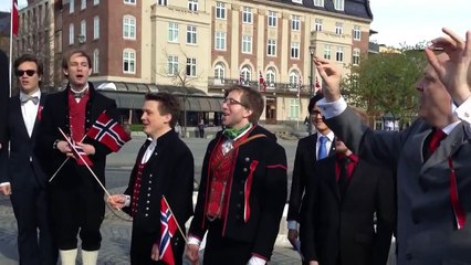 Le choeur Trondhjems c'est rassemblé pour chanter mais il y avait un spectateur inattendu (Norvège)