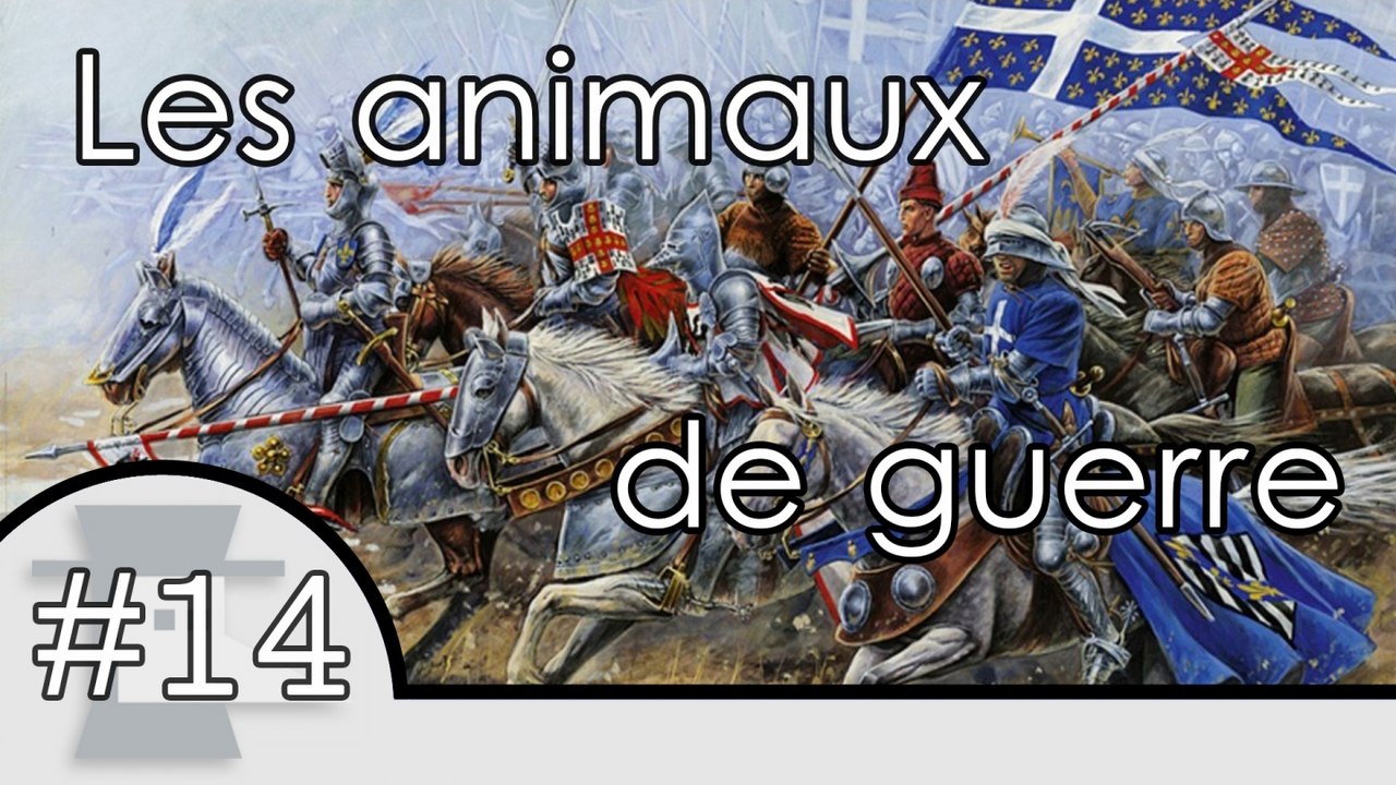 Les 5 animaux de guerre - Nota Bene #15