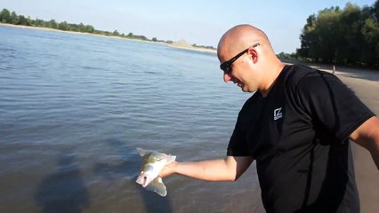 Co-si-robi-z-ryb-prezentuje-FRESZ-KRIS;)