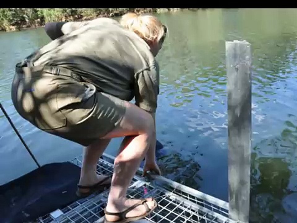 Catching crocodiles on Katherine River