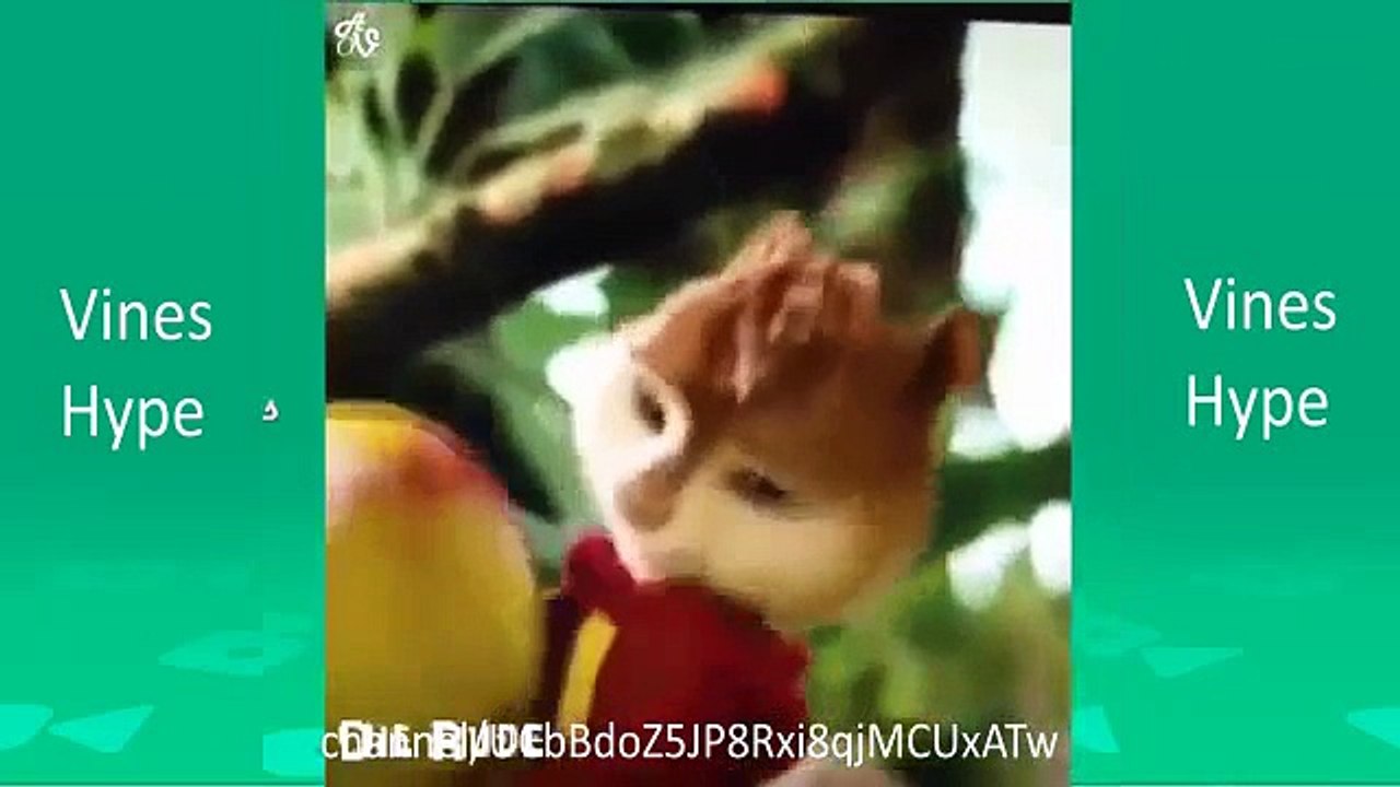 Funny Cartoon Voice Overs Vines Compilation (Part 1) | The Best Bad Lip Reading Vines *Explicit*