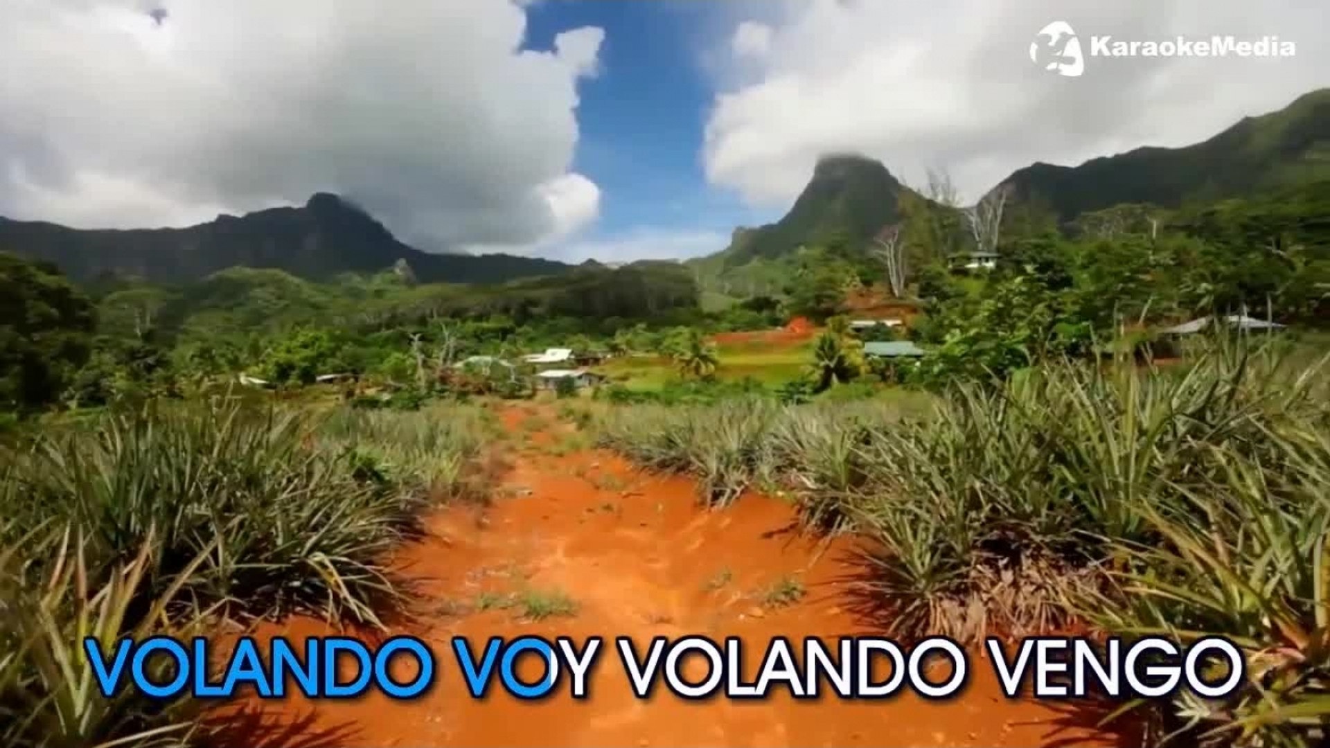 Camaron De La Isla - Volando Voy (Karaoke) - video Dailymotion