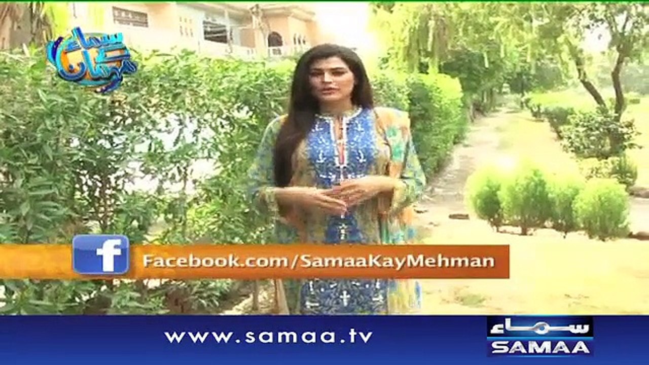 Samaa Kay Mehmaan, 31 August 2015