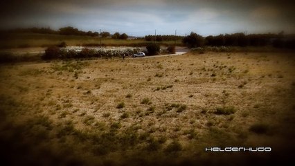 Parrot Bebop by Helderhugo
