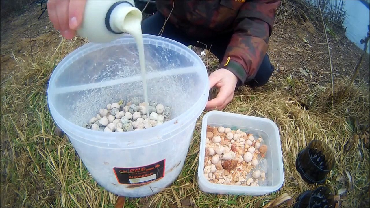 winter fast fishing - pêche de la carpe en hiver