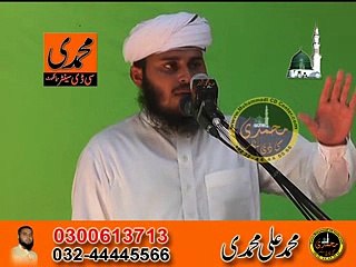Habib ur Rahman Manzoor (Jamia Shamsul hudah Daska)