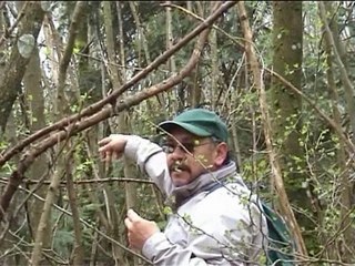 En avril, ne te découvre pas d'un fil