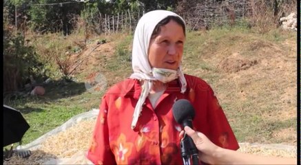 Noka nga Kukësi: Në Gjermani shqiptarë që jetojnë në Shqipëri, jo në Greqi- Ora News