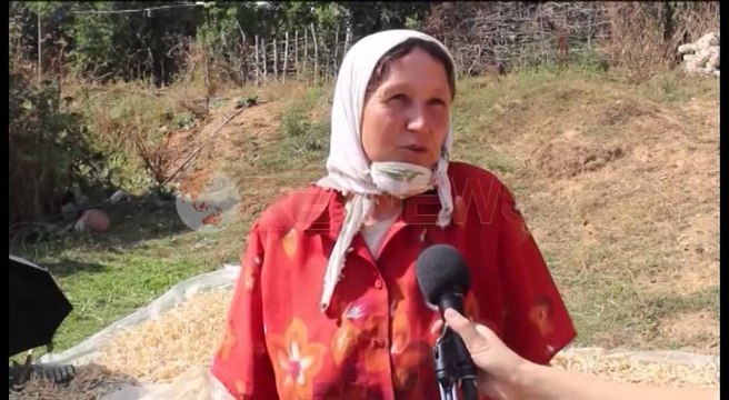 Noka nga Kukësi: Në Gjermani shqiptarë që jetojnë në Shqipëri, jo në Greqi