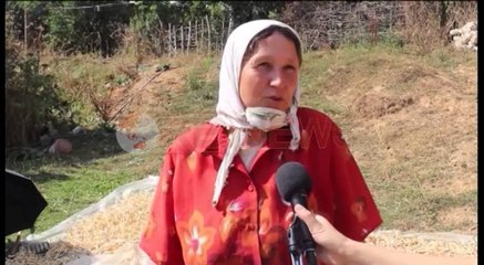 Noka nga Kukësi: Në Gjermani shqiptarë që jetojnë në Shqipëri, jo në Greqi