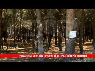 UZURPOHEN PISHAT NË VELIPOJË, VENDPARKIME TË PALIGJSHME