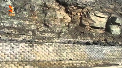 360° Grade -KUSH KALON NE RRUGEN E KOMBIT DO TE PAGUAJE 5 EURO, TENDERI NE SHTATOR