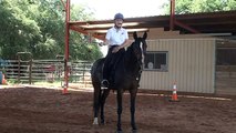 Carrot Stick Riding | One Rein Riding Tips | CR2's Savvy Web Tips