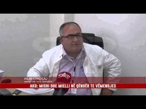AKU: MISHI DHE MIELLI NË QËNDËR TE VËMENDJES