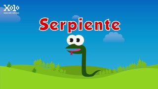 Animales para niños en español