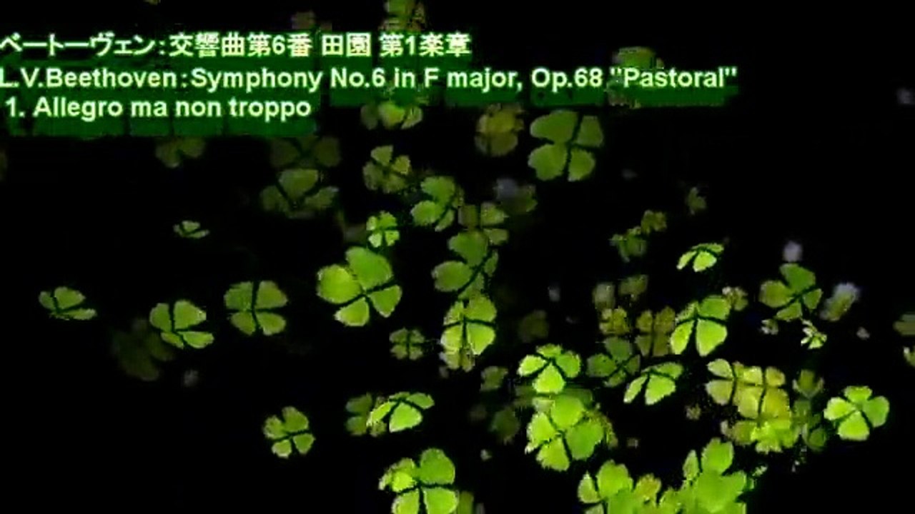 ベートーヴェン：交響曲第6番 田園 第1楽章L.V.Beethoven：Symphony 高音質 人気 有名 定番 ピアノ MP3 クラシック