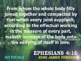 The Epistle of Paul to the Ephesians - Chapter 4