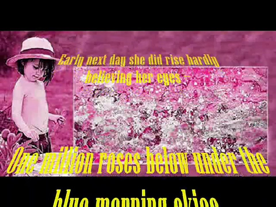 MILLION ROSES.....