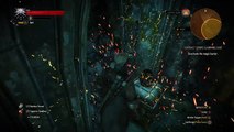 The Witcher 3: Wild Hunt [Earth Elemental Boss] NG  DEATHMARCH LVL 59