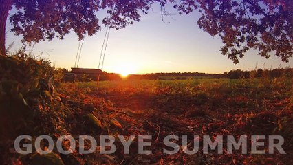 Goodbay Summer - Syntheticsax [Official Video]