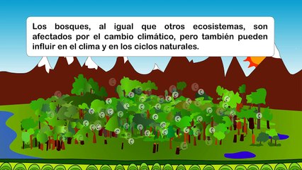 Los bosques y el cambio climático